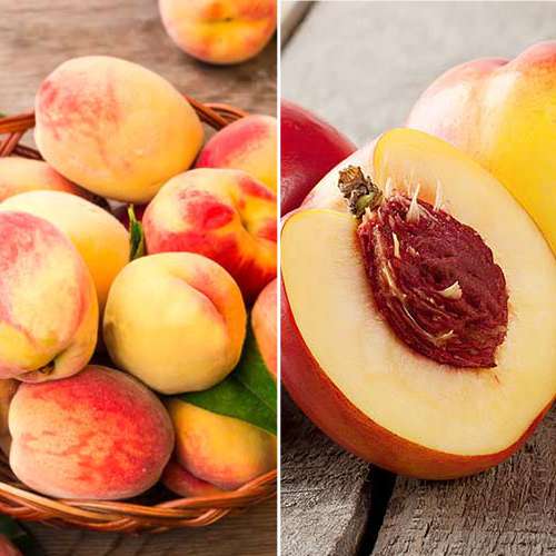 Комплект Мечта гурмана из 2 саженцев изображение 1 артикул 4838