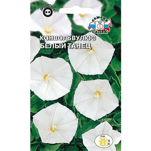 Конвольвулюс Белый танец Седек изображение 1 артикул 93830