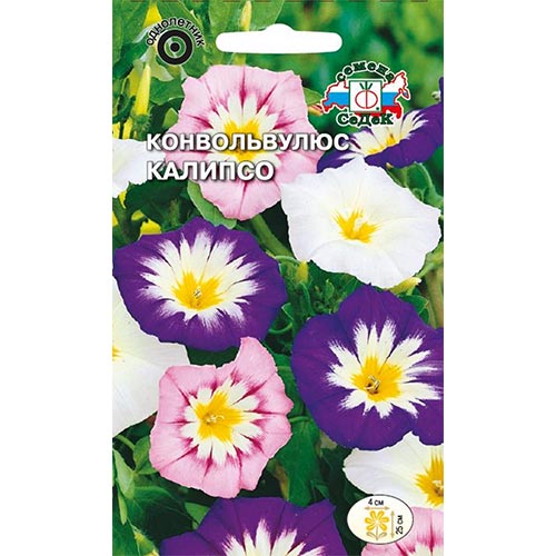 Конвольвулюс Калипсо, смесь окрасок Седек изображение 1 артикул 93832