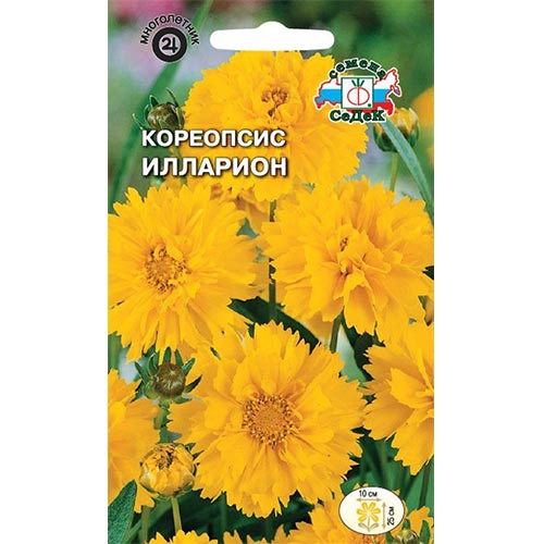 Кореопсис Илларион Седек изображение 1 артикул 93836