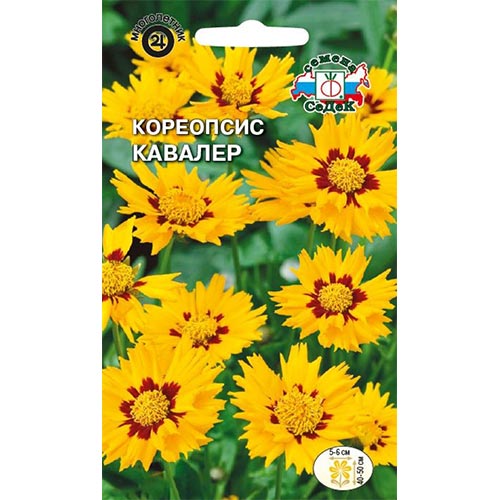 Кореопсис Кавалер Седек изображение 1 артикул 93837