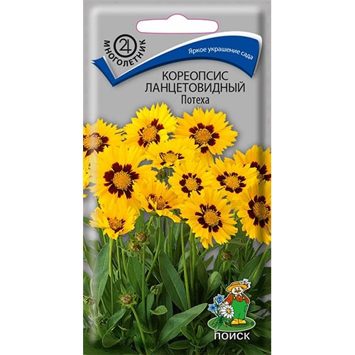 Кореопсис Потеха Поиск изображение 1 артикул 93008