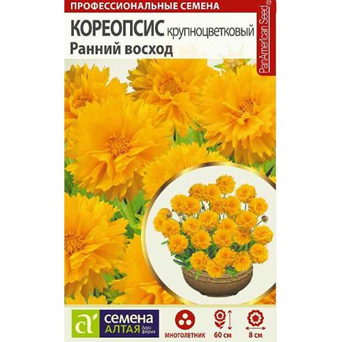 Кореопсис Ранний восход Семена Алтая изображение 1 артикул 94183