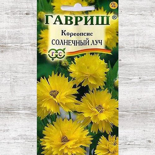 Кореопсис Солнечный луч изображение 1 артикул 82392