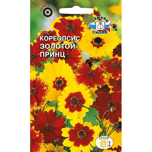 Кореопсис Золотой принц Седек изображение 1 артикул 93834