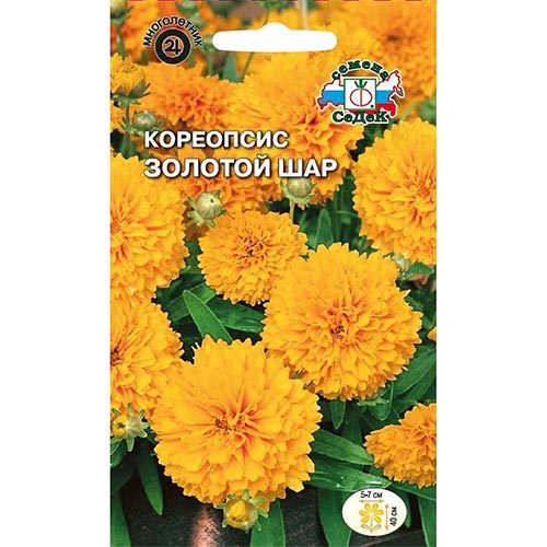 Кореопсис Золотой шар Седек изображение 1 артикул 93835