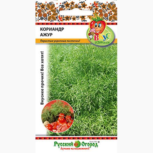 Кориандр Ажур артикул фото 1 Кориандр Ажур изображение 1 артикул 97362