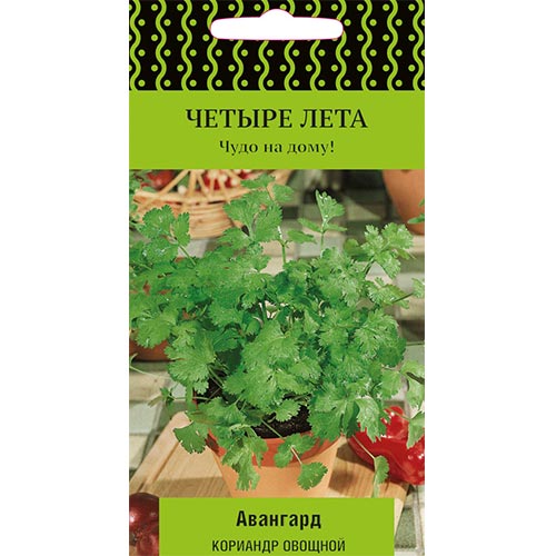Кориандр Авангард Поиск артикул фото 1 Кориандр Авангард Поиск изображение 1 артикул 74910