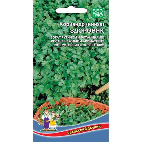 Кориандр Здоровяк Уральский дачник изображение 1 артикул 94545
