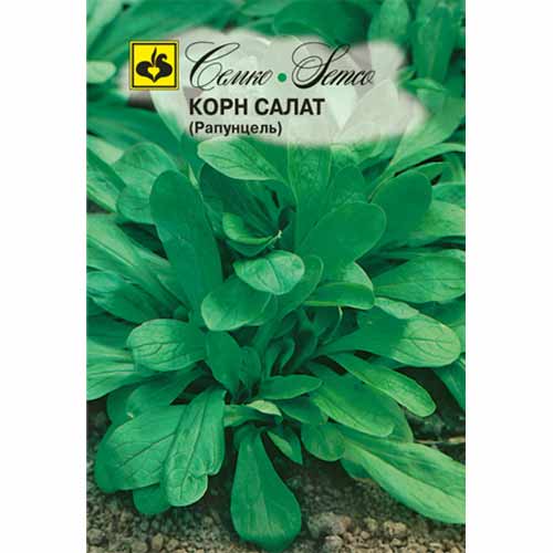 Корн салат Рапунцель Семко изображение 1 артикул 40556