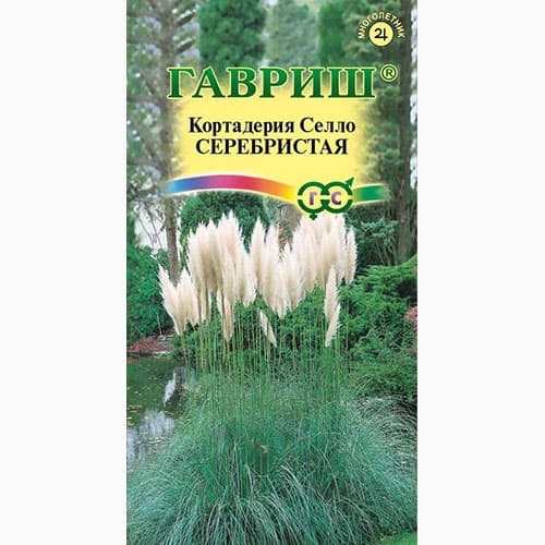 Кортадерия (пампасная трава) серебристая  Гавриш артикул фото 1 Кортадерия (пампасная трава) серебристая  Гавриш изображение 1 артикул 97700