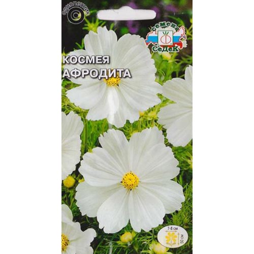 Космея Афродита Седек изображение 1 артикул 93841