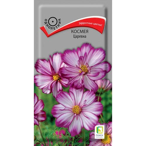 Космея Царевна Поиск изображение 1 артикул 93020