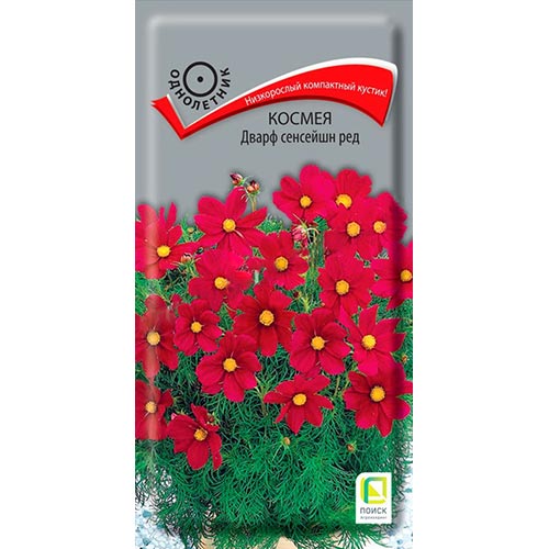 Космея Дварф Сенсейшн Ред Поиск изображение 1 артикул 93010