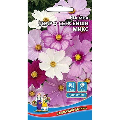 Космея Дварф Сенсейшн, смесь окрасок Уральский дачник изображение 1 артикул 94814