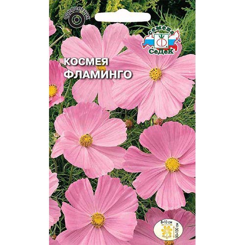 Космея Фламинго Седек изображение 1 артикул 93853