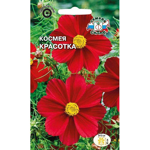 Космея Красотка Седек изображение 1 артикул 93845