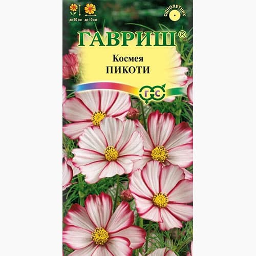 Космея Пикоти Гавриш изображение 1 артикул 97703