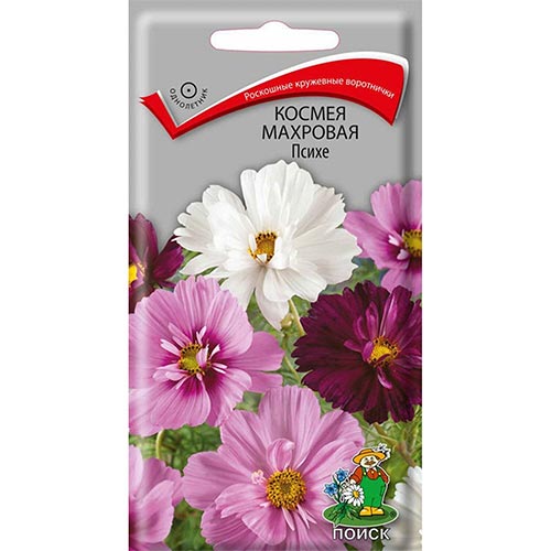 Космея Психе, смесь окрасок Поиск изображение 1 артикул 93016