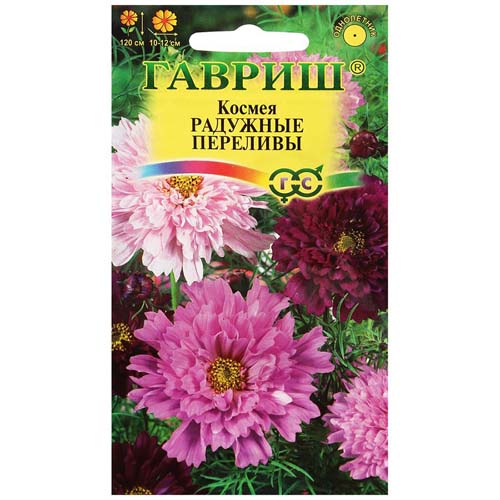 Космея Радужные переливы, смесь окрасок изображение 1 артикул 73860