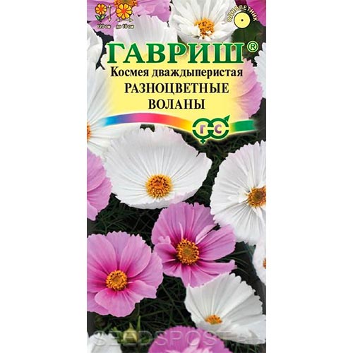 Космея Разноцветные воланы, смесь окрасок Гавриш изображение 1 артикул 92113