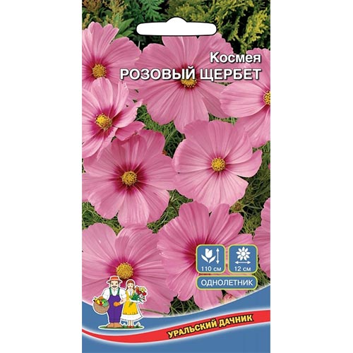 Космея Розовый щербет Уральский дачник изображение 1 артикул 94815