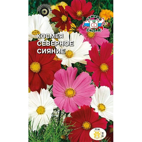 Космея Северное сияние, смесь окрасок Седек изображение 1 артикул 93852