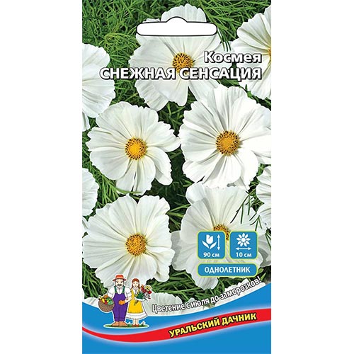 Космея Снежная Сенсация Уральский дачник изображение 1 артикул 94816