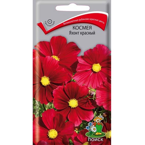 Космея Яхонт красный Поиск изображение 1 артикул 93021
