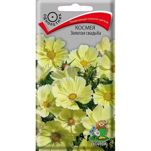Космея Золотая свадьба Поиск изображение 1 артикул 93011