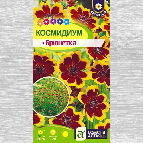Космидиум Брюнетка изображение 1 артикул 78152