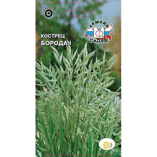 Кострец Бородач Седек изображение 1 артикул 93855