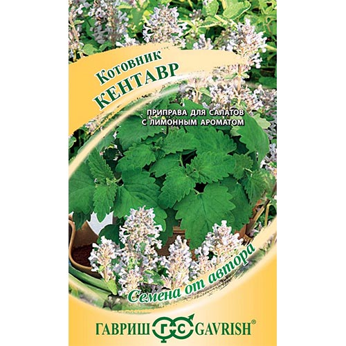 Котовник Кентавр Гавриш изображение 1 артикул 91715