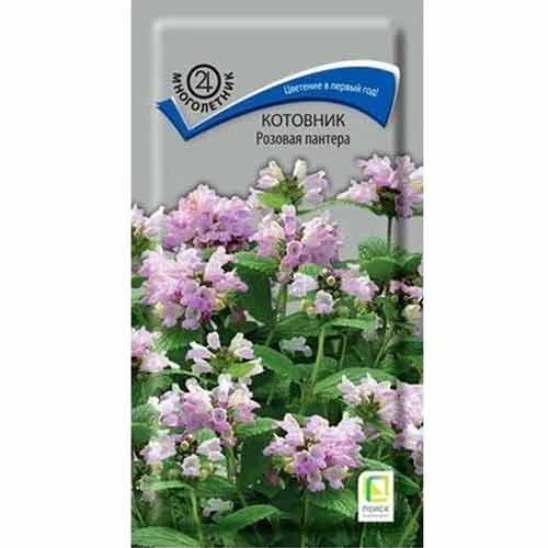 Котовник Розовая пантера Поиск изображение 1 артикул 92751
