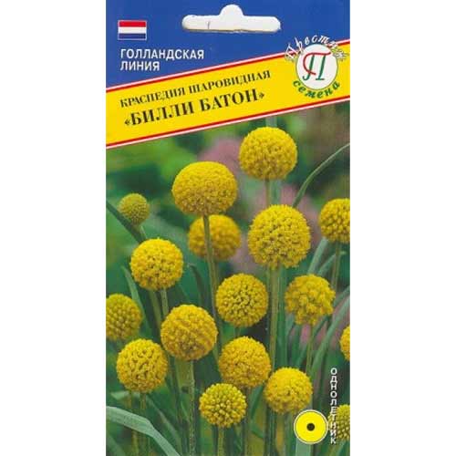 Краспедия шаровидная Билли Батон Престиж изображение 1 артикул 71462