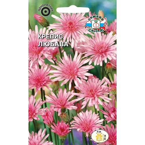 Крепис Любава Седек изображение 1 артикул 93857