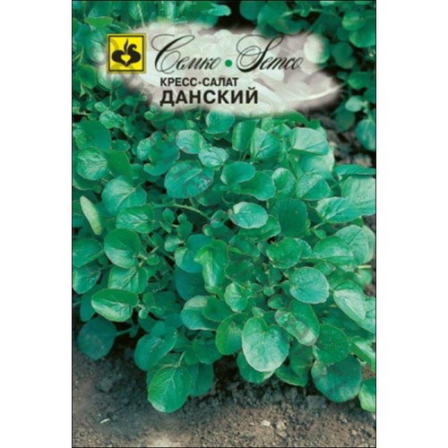 Кресс-салат Данский Семко артикул фото 1 Кресс-салат Данский Семко изображение 1 артикул 94249