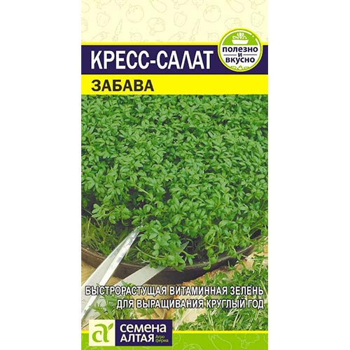 Кресс-салат Забава Семена Алтая изображение 1 артикул 81500