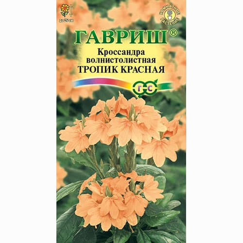 Кроссандра волнистолистная Тропик красная Гавриш изображение 1 артикул 82395