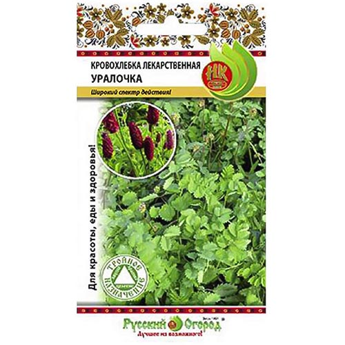 Кровохлебка Уралочка НК изображение 1 артикул 92399