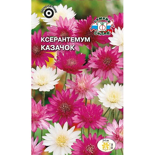 Ксерантемум Казачок , смесь окрасок Седек изображение 1 артикул 93858