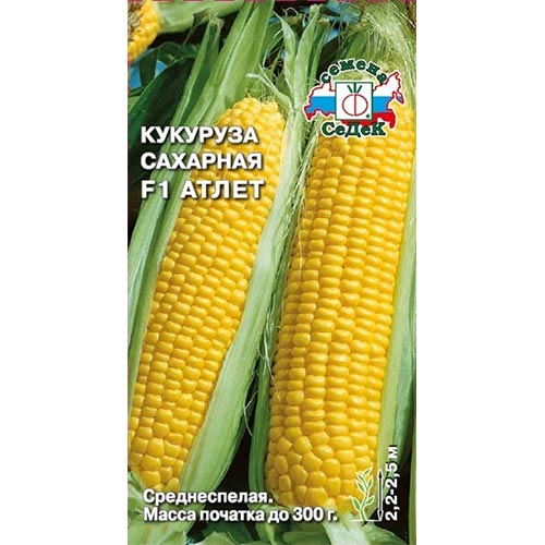 Кукуруза Атлет F1 Седек изображение 1 артикул 93413