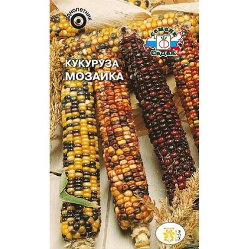 Кукуруза декоративная Мозаика, смесь окрасок Седек изображение 1 артикул 93859