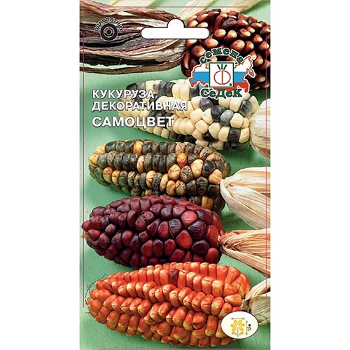 Кукуруза декоративная Самоцвет, смесь окрасок Седек изображение 1 артикул 93860