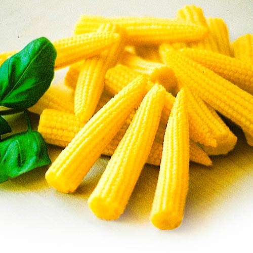 Кукуруза Миниголд F1 артикул фото 1 Кукуруза Миниголд F1 изображение 1 артикул 71834