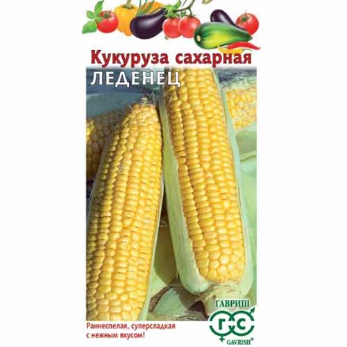 Кукуруза сахарная Леденец F1 Гавриш артикул фото 1 Кукуруза сахарная Леденец F1 Гавриш изображение 1 артикул 87977