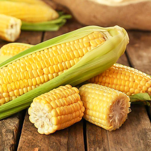Кукуруза медовая Premium Seeds артикул фото 1 Кукуруза медовая Premium Seeds изображение 1 артикул 83755