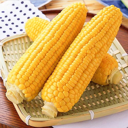 Кукуруза Сахарный гигант Уральский дачник артикул фото 1 Кукуруза Сахарный гигант Уральский дачник изображение 1 артикул 83025