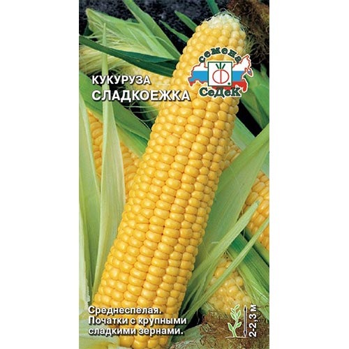 Кукуруза Сладкоежка Седек изображение 1 артикул 93416