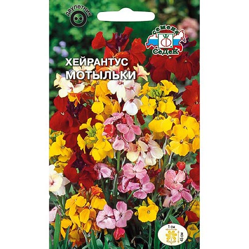 Лакфиоль (хейрантус) Мотыльки, смесь окрасок Седек изображение 1 артикул 93864